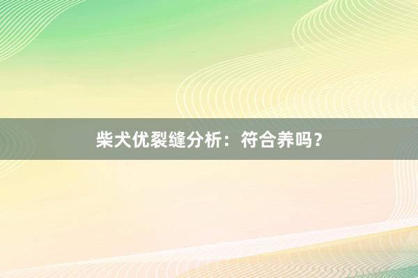 柴犬优裂缝分析:符合养吗?