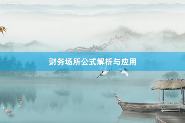 财务场所公式解析与应用